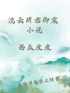 沈云玥君御宸 小说