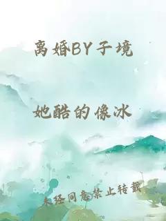 离婚BY子境