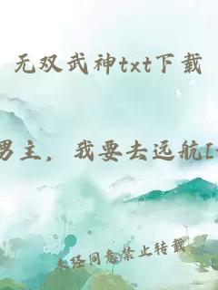 无双武神txt下载