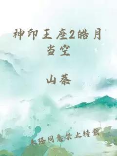 神印王座2皓月当空