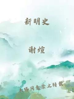 新明史