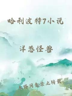 哈利波特7小说