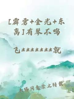 [霹雳+金光+东离]有琴不鸣