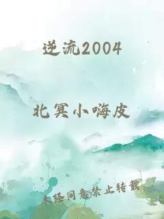 逆流2004