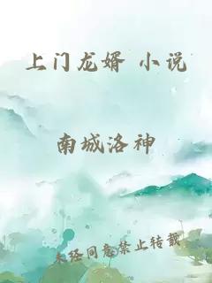 上门龙婿 小说