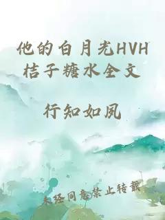 他的白月光HVH桔子糖水全文