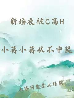 新婚夜被C高H