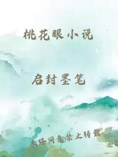 桃花眼小说