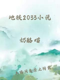 地铁2033小说