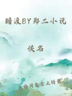 暗渡BY郑二小说