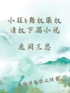 小狂h舞奴荣奴清奴下篇小说