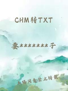 CHM转TXT