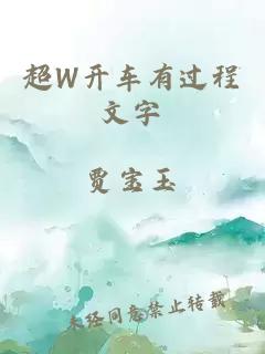 超W开车有过程文字