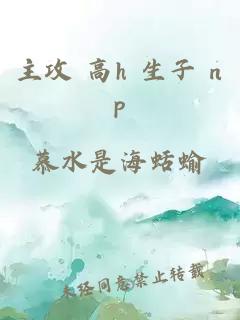 主攻 高h 生子 np