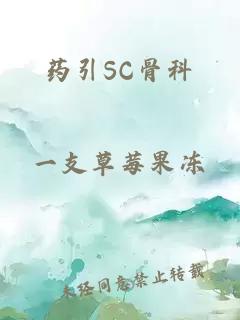 药引SC骨科