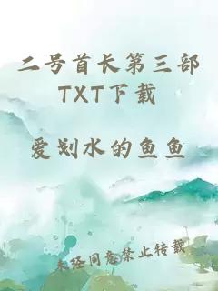 二号首长第三部TXT下载