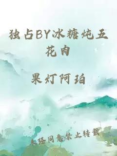 独占BY冰糖炖五花肉