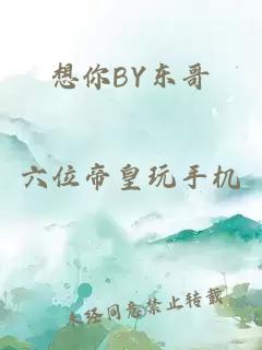 想你BY东哥