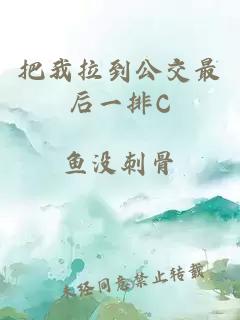 把我拉到公交最后一排C