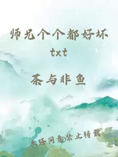 师兄个个都好坏txt