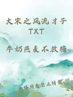 大宋之风流才子TXT