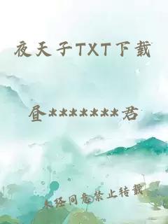 夜天子TXT下载