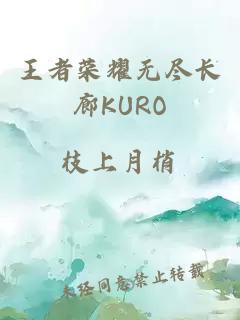 王者荣耀无尽长廊KURO