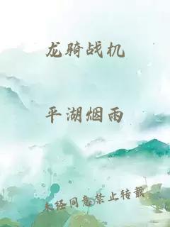 龙骑战机