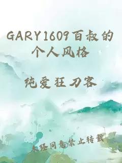 GARY1609百叔的个人风格