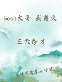 boss大哥 别惹火