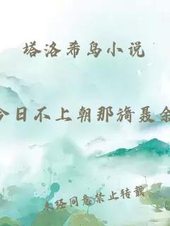 塔洛希岛小说