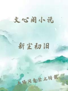 文心阁小说