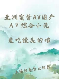 亚洲蜜臀AV国产AⅤ综合小说