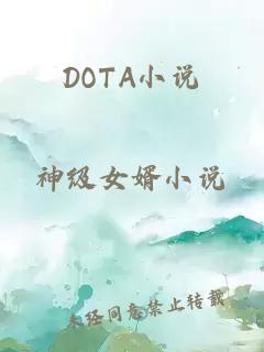 DOTA小说