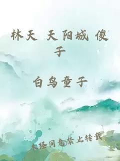 林天 天阳城 傻子