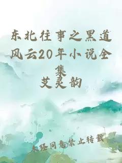 东北往事之黑道风云20年小说全集