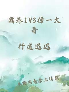 我养1V3榜一大哥