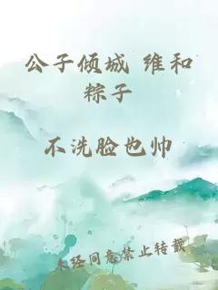 公子倾城 维和粽子