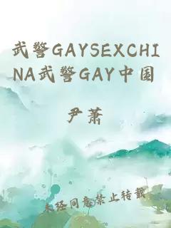 武警GAYSEXCHINA武警GAY中国