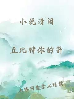 小说清闲