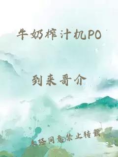 牛奶榨汁机PO