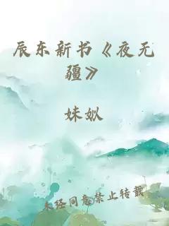 辰东新书《夜无疆》