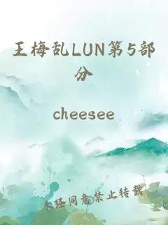 王梅乱LUN第5部分