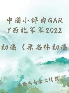 中国小鲜肉GARY西北军军2022