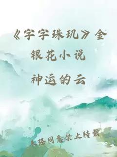 《字字珠玑》金银花小说