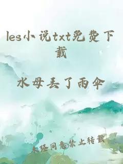 les小说txt免费下载