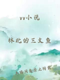 vv小说