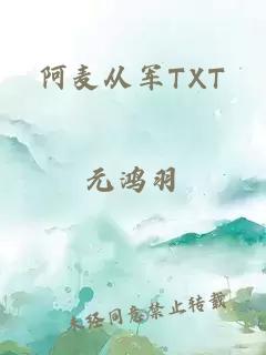 阿麦从军TXT