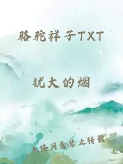 骆驼祥子TXT