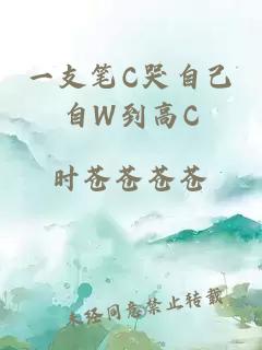 一支笔C哭自己自W到高C